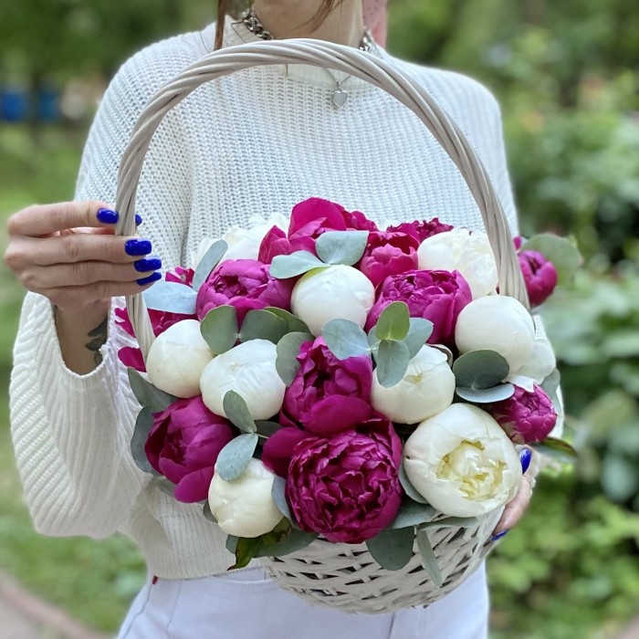 25 малиновых и белых пионов в корзине